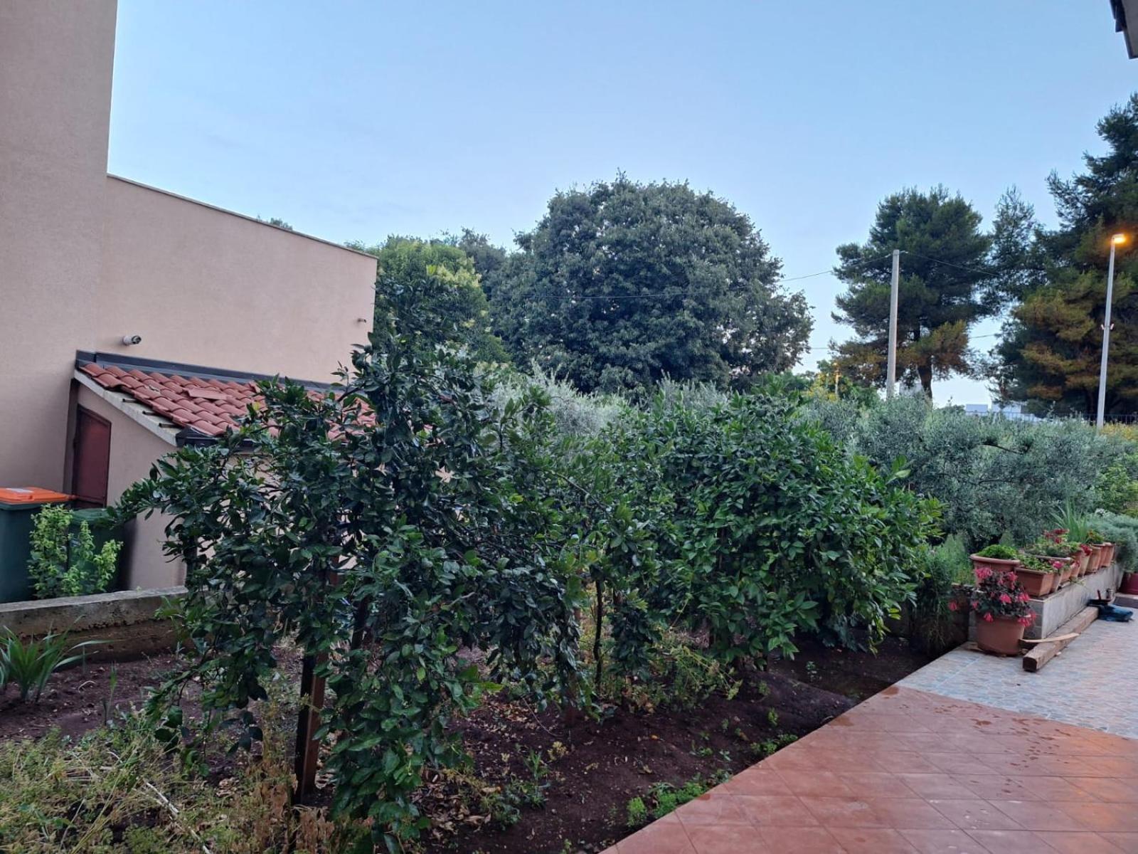 Hana Apartments Ζαντάρ Εξωτερικό φωτογραφία